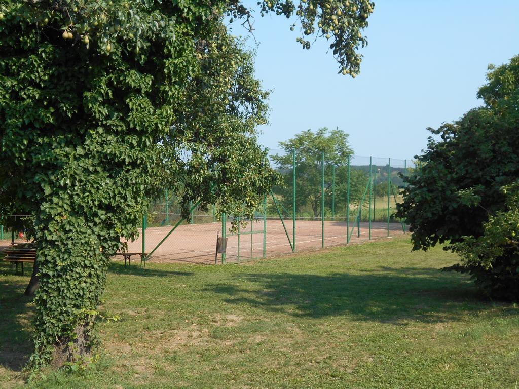 Borostyánkert Étterem&Vendégház Sitke Exterior foto